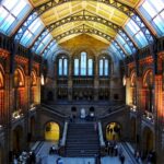 Curating Memories: How Museums Shape Our Cultural Identity